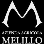 Azienda Agricola Melillo, Villa Castelli, IT