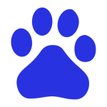 Baidu