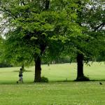Eastville Park, Bristol, UK