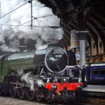 Flying Scotsman, Mount Lawley (WA), AU