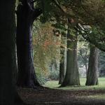 Leijpark, Tilburg, NL