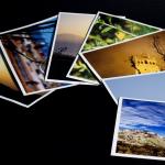 Featured Images