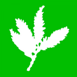 Sequoia Capital